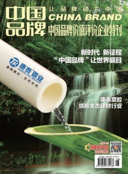中国品牌 17年特刊