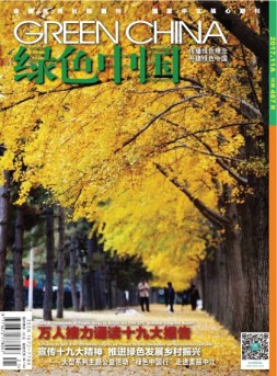 绿色中国 17年11月A