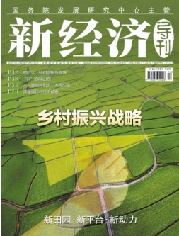 新经济导刊 17年12月号