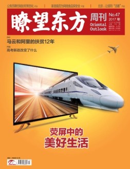 瞭望东方周刊 17年第47期