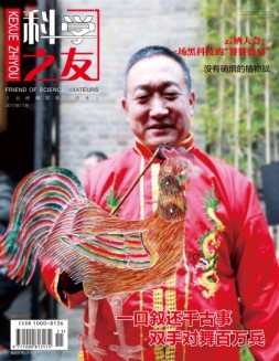 科学之友·上半月 17年11月号