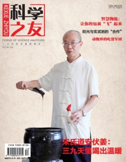 科学之友·上半月 17年12月号