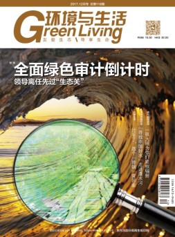 环境与生活 17年第12期