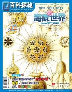 百科探秘·海底世界 17年12月号
