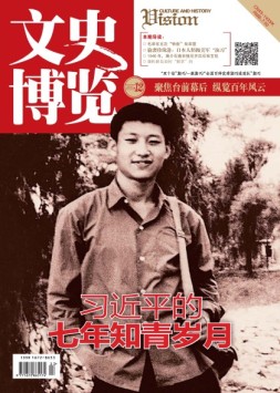 文史博览 17年第12期