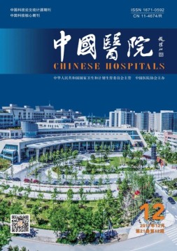 世界汉语文学中国老年作家版 17年第4期