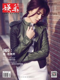 娱乐·品味周刊 17年第21期