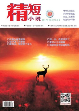 精短小说 17年第12期