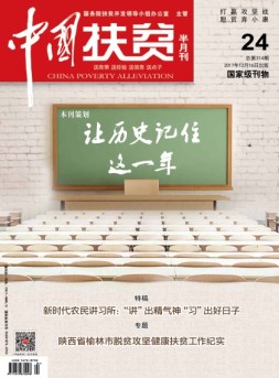 中国扶贫 17年第24期