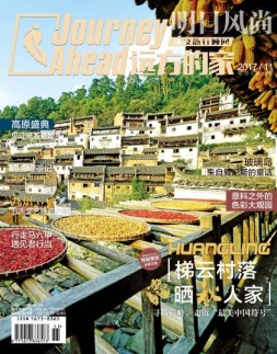 远方的家 17年11月号