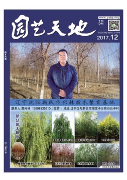 园艺天地 17年12月号