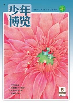 少年博览·小学高年级版 17年6月号