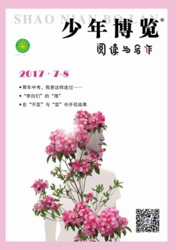 少年博览阅读与写作 17年7-8月合刊