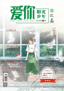 爱你·阳光少年 18年1月号