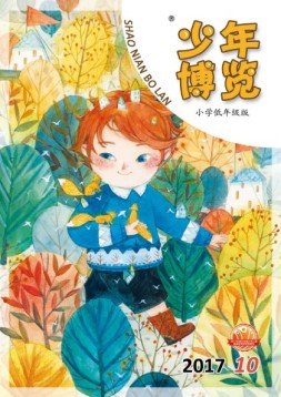 少年博览·小学低年级版 17年10月号