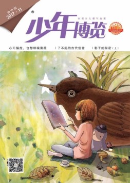 少年博览·初中版 17年11月号