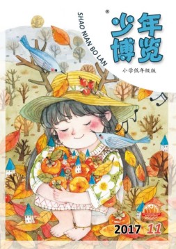 少年博览·小学低年级版 17年11月号