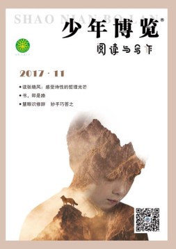 少年博览阅读与写作 17年11月号
