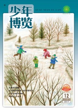 少年博览·小学高年级版 17年12月号