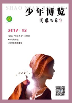 少年博览阅读与写作 17年12月号