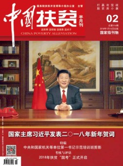 中国扶贫 18年第2期