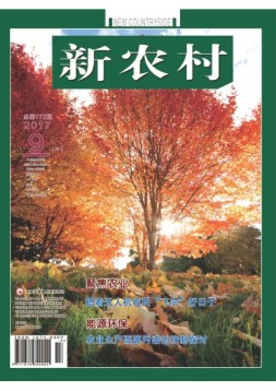 新农村 17年第26期