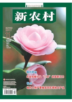 新农村 17年第33期