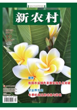 新农村 17年第36期