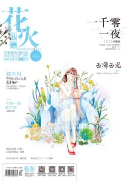 花火 17年7月B