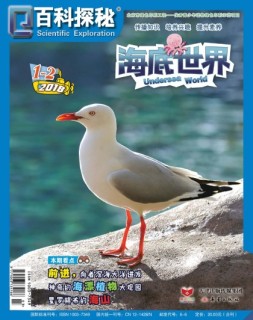百科探秘·海底世界 18年1-2月号合刊