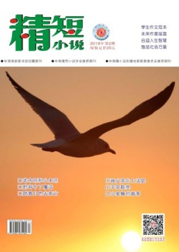 精短小说 18年第2期