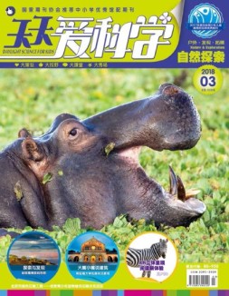 天天爱科学 18年3月号