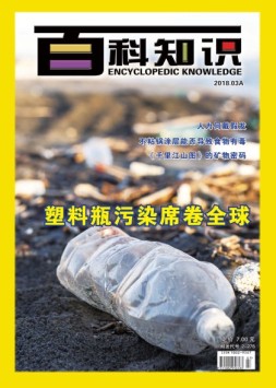 百科知识 18年3月上
