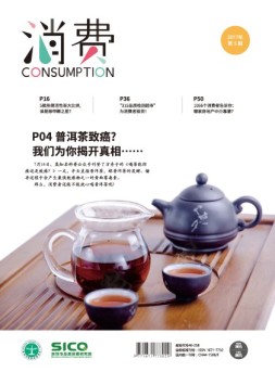 消费 17年第5期