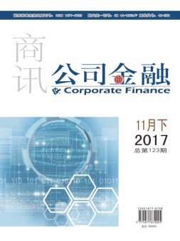 公司金融 17年11月下