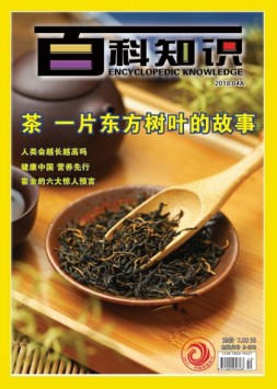 百科知识 18年4月上