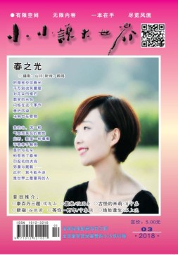 小小说大世界 18年3月号