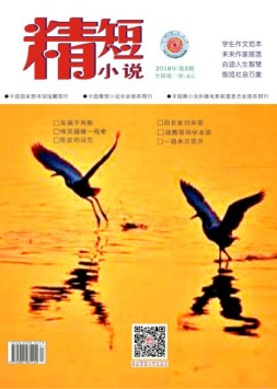 精短小说 18年第3期