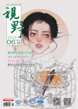 视野 18年第6期