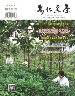 安化黑茶 18年第1期