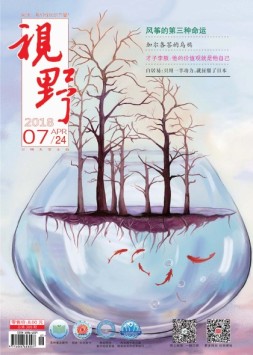 视野 18年第7期