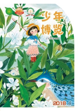 少年博览·小学低年级版 18年4月号
