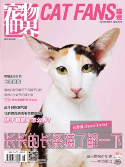 宠物世界·猫迷 18年4月号
