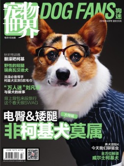 宠物世界·狗迷 18年4月号