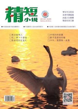 精短小说 18年第4期