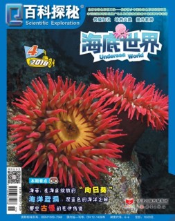 百科探秘·海底世界 18年4月号