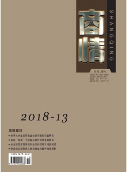商情 18年第13期