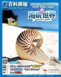 百科探秘·海底世界 18年5月号