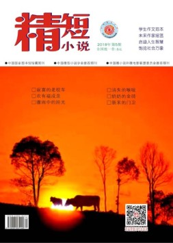 精短小说 18年第5期