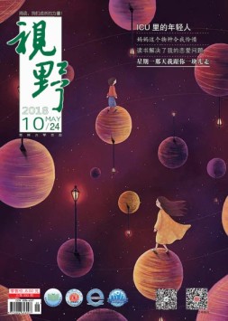 视野 18年第10期
